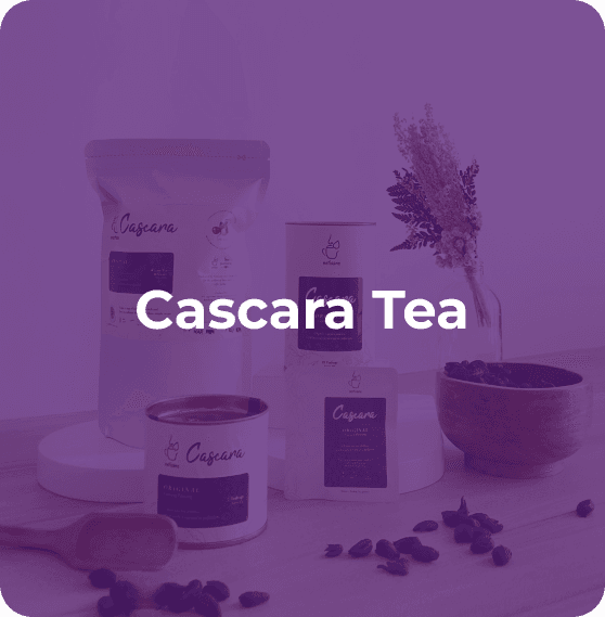 Cascara Tea