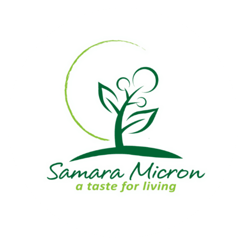 /partners/industri/Samara micron.png